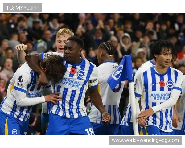 布莱顿新赛季阵容调整引关注 球迷期待球队未来表现